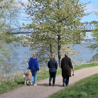 Venner på vandretur ad Lillebæltstien i Middelfart