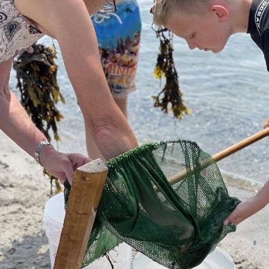 Oplev livet ved strandene i Middelfart
