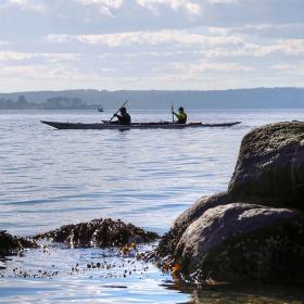 Kajaktur på Fænøsund  - Middelfart