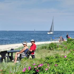 Strib Nordstrand i Middelfart er en blå flag strand