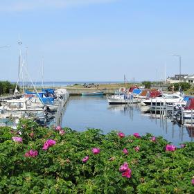 Idyllisk lille havn i Varbjerg