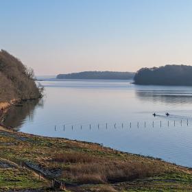 Gå Lillebæltstien langs Hindsgavl Halvøens kyst i Middelfart