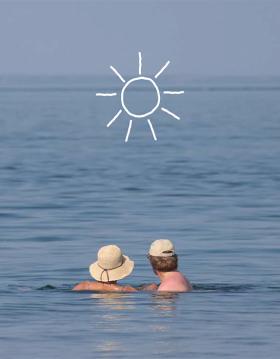 Sommergæster Strib Nordstrand