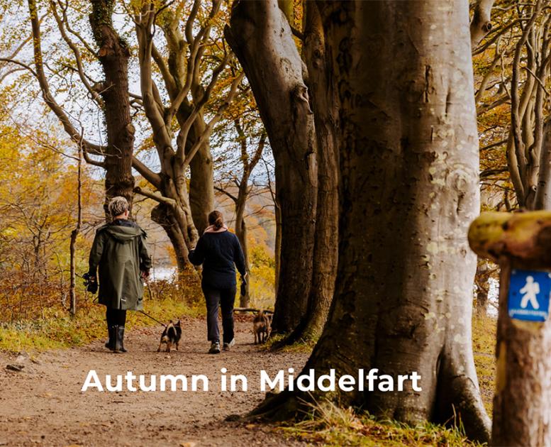Hiking on the beautiful autumn trail
